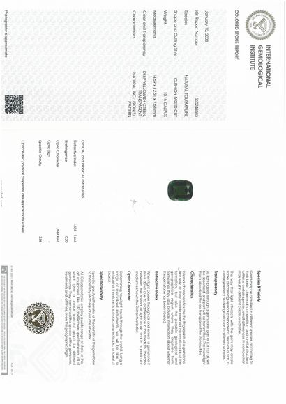 null Important fir green tourmaline cushion on paper.

Accompanied by an IGI certificate...