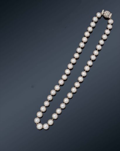 null Collier de perles de culture grises, fermoir en or gris 18K (750) ajouré, serti...