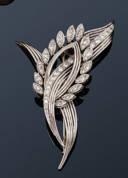 null Brooch in 18K (750) white gold wire drawing feathers, a rib set with modern...