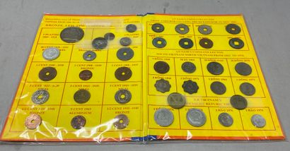 Indo-Chinese coin collection