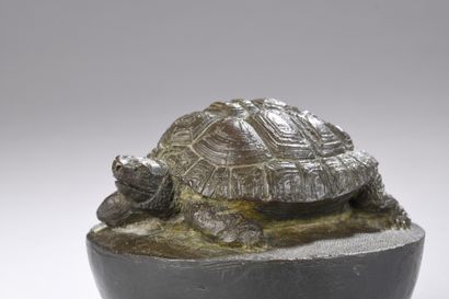 null THEYMER Ivan, né en 1973
Tortue, 1999
bronze à patine brun foncé nuancée n°9/250...