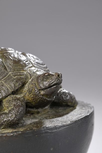 null THEYMER Ivan, born in 1973
Turtle, 1999
bronze with dark brown patina n°9/250...