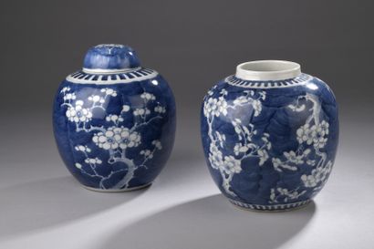null CHINA - 19th century
Two porcelain ginger jars forming a pair decorated in blue...