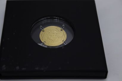 Coin in yellow gold 999/1000° of 250 € 