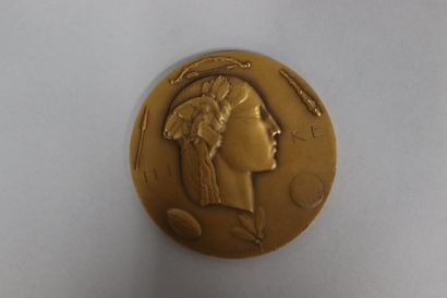 null P.M DAMMANN
Médaille uniface ronde en bronze à patine doré, profil de niké.
Diamètre...