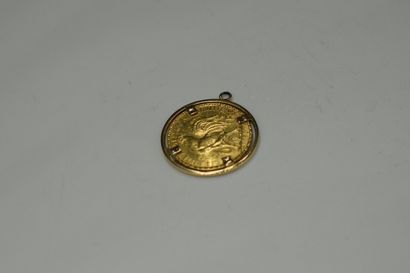 null Gold coin 20 Francs au Coq (1907) mounted in pendant.
Weight : 7.7 g.