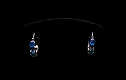 null Pair of earrings creole style set with appatites of various sizes. 

Height...