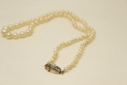 null Necklace of pearls of cultures in fall, clasp in yellow gold 18k (750). 
Necklace...
