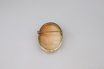 null 18K (750) yellow gold brooch with a cameo in profile of a woman.
Gross weight....