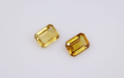 null Lot of two stones on paper including a rectangular citrine with cut sides and...