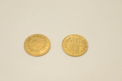 null Lot of two gold coins :
- 20 francs Louis Philippe (1836, A)
- 20 francs Louis...