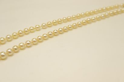 null Necklace of cultured pearls in fall. Metal clasp. 
Necklace size: 48 cm.