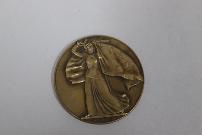 null P.M DAMMANN
Médaille ronde en bronze à patine brune
AV/ Victoire ailée
RV/ Gouvernement...