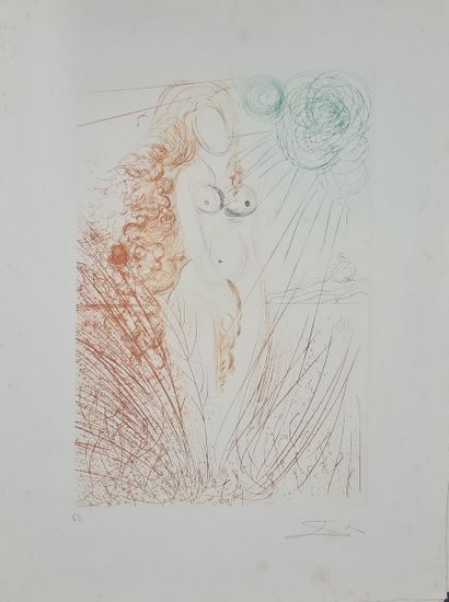 null DALI Salvador, after,
The Birth of Venus, 1971,
etching in colors, EA (scratches...