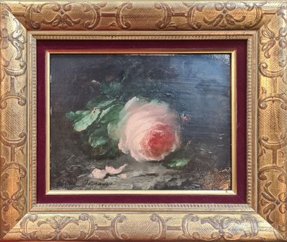 null CASTEX-DÉGRANGE Adolphe Louis (1840-1918)
Rose
Oil on panel signed lower left...