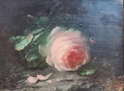 null CASTEX-DÉGRANGE Adolphe Louis (1840-1918)
Rose
Oil on panel signed lower left...