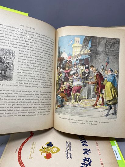 null Strong lot of children's books including : 

Don Quixote, history of France,...