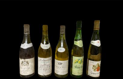 11 bouteilles DIVERS (et, ea; Sancerre, Pouilly-fumé,...