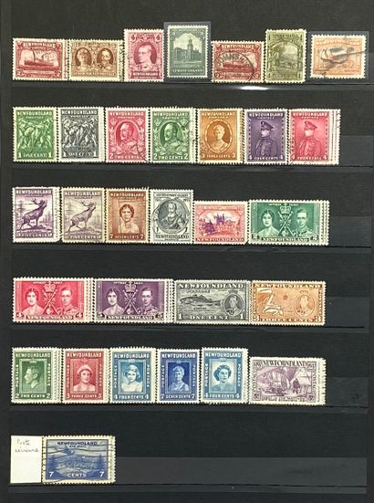 null OVERSEAS
A Newfoundland collection, a very extensive set.