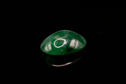null Jade cabochon on paper. 
Probably unheated untreated. 
Weight : 2.27 cts. 

Dimensions...