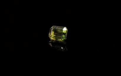 null Rectangular pinkish green sapphire with cut sides on paper.
Weight : 0.50 ct

Dimensions...