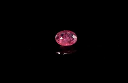 Oval pink sapphire on paper. 
Weight : 0.68...