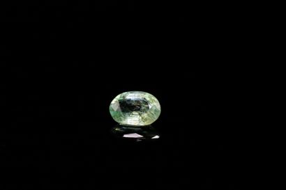 null Oval emerald on paper.
Weight : 0.26 ct

Dimensions : 5.2mm x 3.7mm
