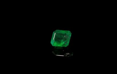 null Tsavorite garnet with cut sides on paper. 
Weight : 0.40 ct. 

Dimensions :...