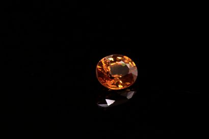 Oval yellow sapphire on paper.
VVS
Weight...