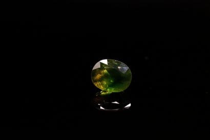 null Oval green sapphire on paper. 
Weight : 1.96 ct

Dimensions : 8mm x 6mm