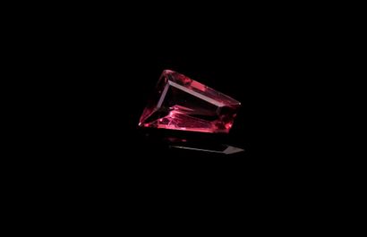 null Rhodolite garnet trapeze on paper. 
Weight : 0.80 ct. 

Dimensions : 7.5 mm...