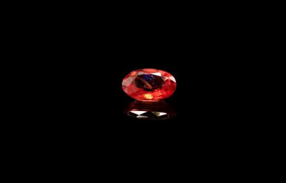 null Rare orange sapphire on paper. 
Weight : 0.62 ct. 

Dimensions : 6mm x 4.2m...