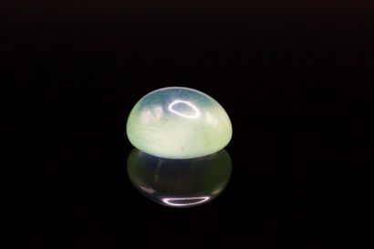 null Green prehnite oval cabochon on paper.
Weight : 6.48 cts

Size : 11.7mm x 1...