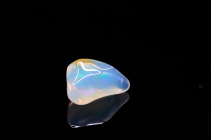 null Opal half-cut on paper. 
Weight : 2.29 cts. 

Dimensions : 12.8mm x 7.8mm