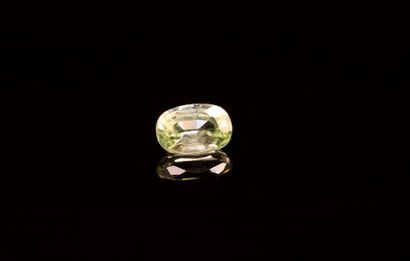 Oval light green sapphire on paper.
VS
Weight...