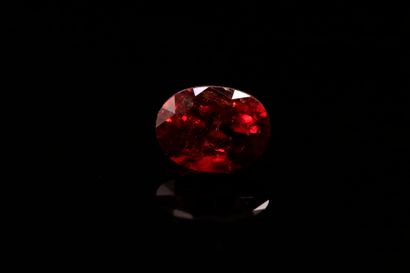 null Oval red garnet on paper.
Weight : 1.95 ct

Dimensions : 8mm x 6mm