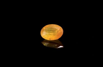Yellow sapphire supported oval on paper.
Weight...