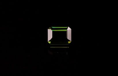 null Rectangular green tourmaline with cut sides on paper.
VVS
Probably not heated.
Weight...
