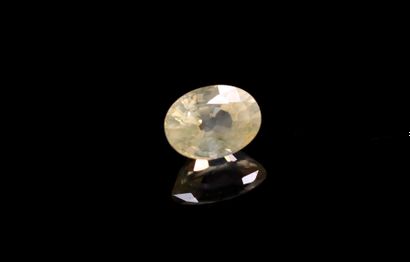 null Oval yellow sapphire on paper. 
Probably Ceylon. 
Weight : 1.21 ct.

Dimensions...