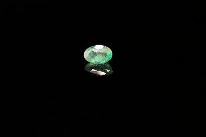 null Oval emerald on paper.
Weight : 0.47 ct

Dimensions : 6.2mm x 4.2mm