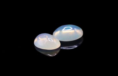 null Pairing of oval cabochon opals on paper. 
Total weight : 0.81 ct.