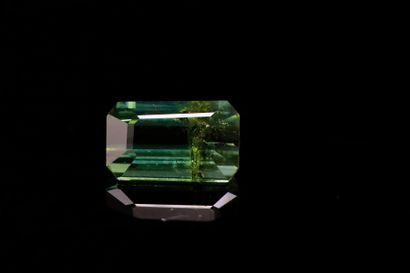 null Rectangular green tourmaline with cut sides on paper.
Probably not heated.
Weight...