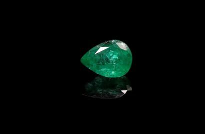 null Emerald pear on paper. 
Probably Zambia.
Weight : 1.22 ct

Dimensions : 8mm...
