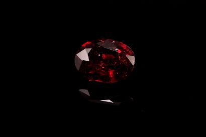 Oval garnet on paper.
Weight : 3.11 cts

Size...