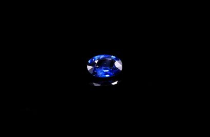 null Oval blue sapphire on paper.
Weight : 0.50 ct

Dimensions : 5.7mm x 4.4mm