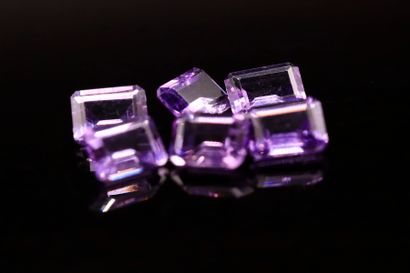 null Mixture of six rectangular amethysts with cut sides. 
Total weight : 8.44 cts....