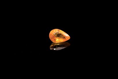 null Pear yellow sapphire on paper.
Weight : 0.68 ct

Dimensions : 6.4mm x 4.6mm