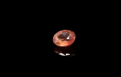null Oval pinkish orange sapphire on paper. 
Weight : 0.58 ct. 

Dimensions : 5mm...