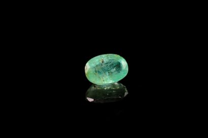 null Oval emerald on paper.
Weight : 0.60 ct

Dimensions : 6.2mm x 4.4mm