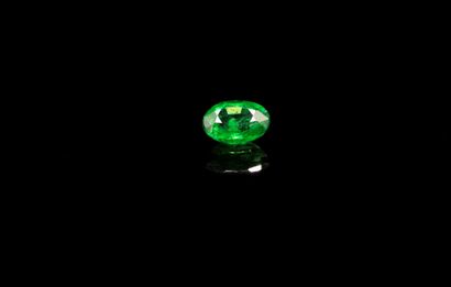 null Oval tsavorite garnet on paper.
Weight : 0.25 ct

Dimensions : 4.2mm x 3.2m...